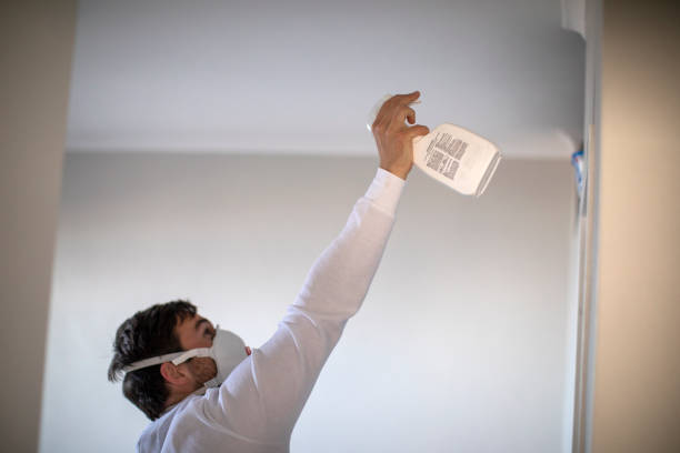 Best Attic Mold Removal  in Sweeny, TX