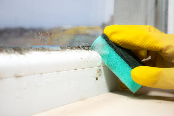 Sweeny, TX Mold Removal Company
