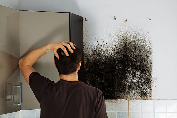 Best Toxic Mold Removal  in Sweeny, TX