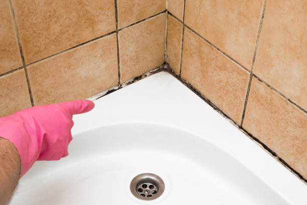 Best Office Mold Removal Services  in Sweeny, TX